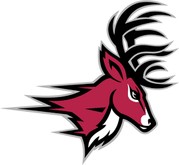 Fairfield University Stags